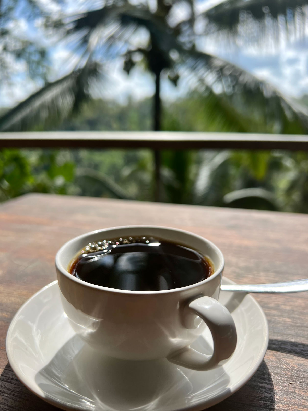 A coffee cup on a plantation in Indonesia