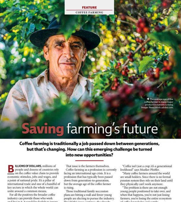 screenshot of article of Global Coffee Report